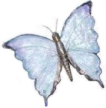 Butterfly painting by Louise Bérubé